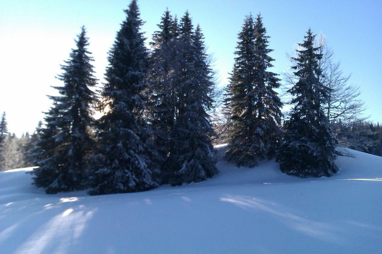 Chalet Daria Преманон Экстерьер фото