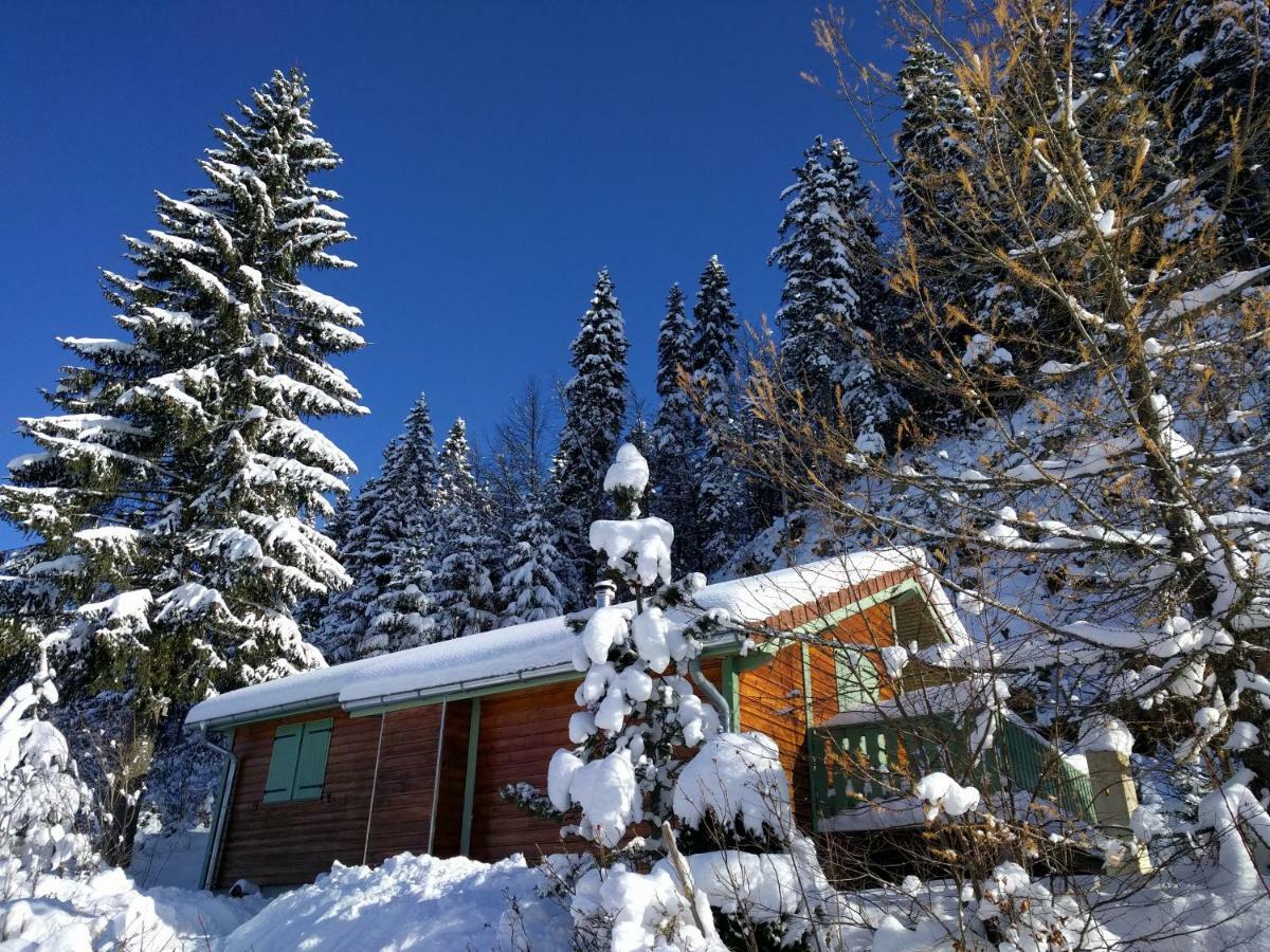 Chalet Daria Преманон Экстерьер фото