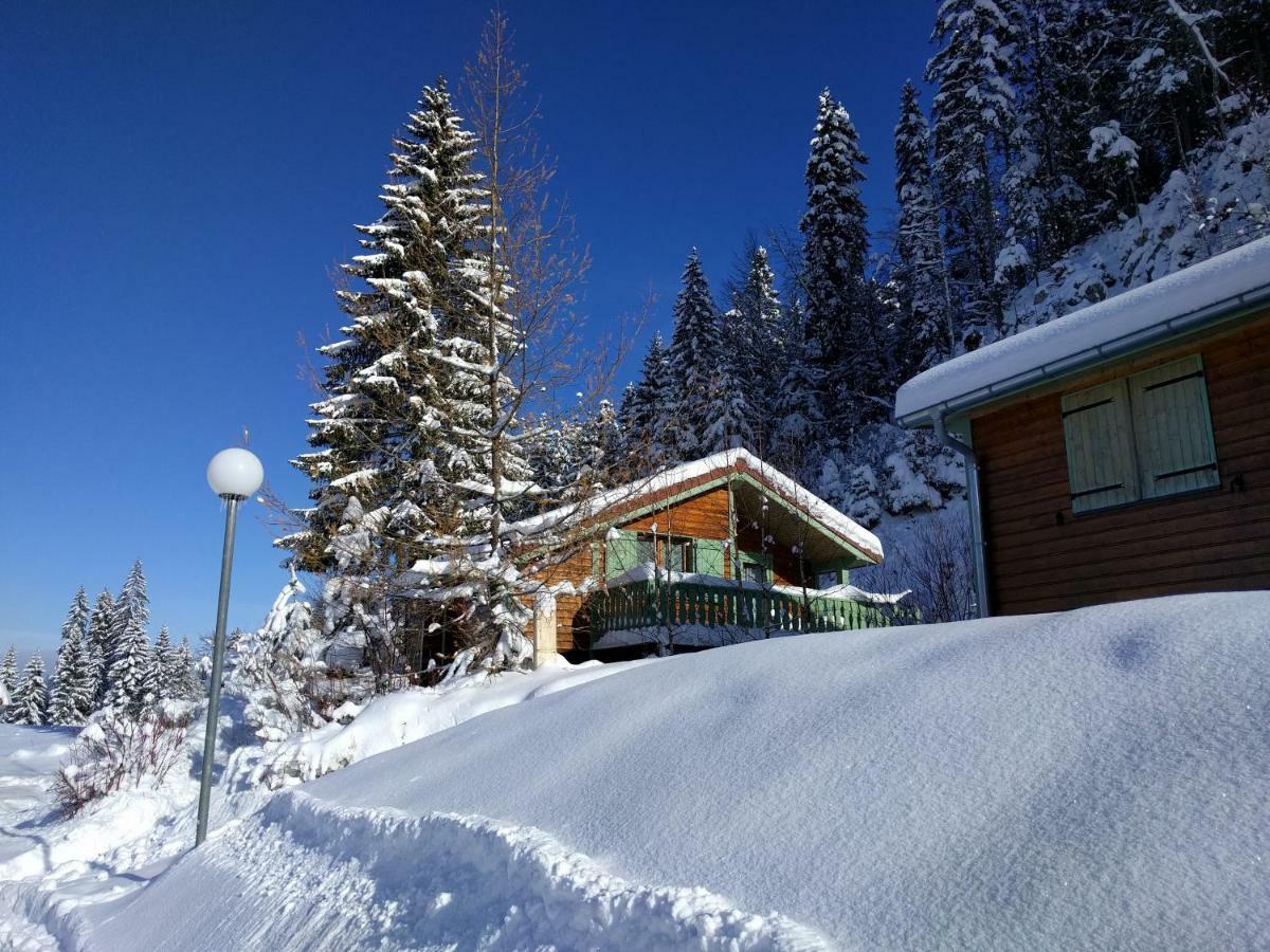 Chalet Daria Преманон Экстерьер фото